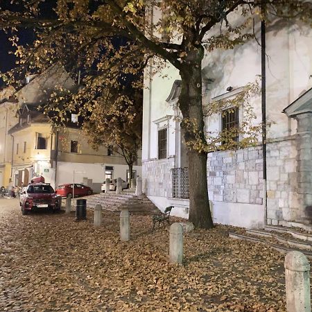 Villa Pod Gradom Ljubljana Kültér fotó