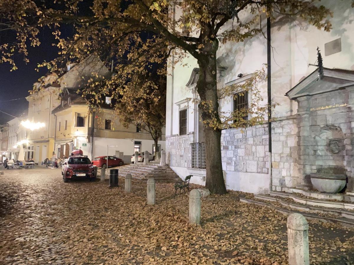 Villa Pod Gradom Ljubljana Kültér fotó